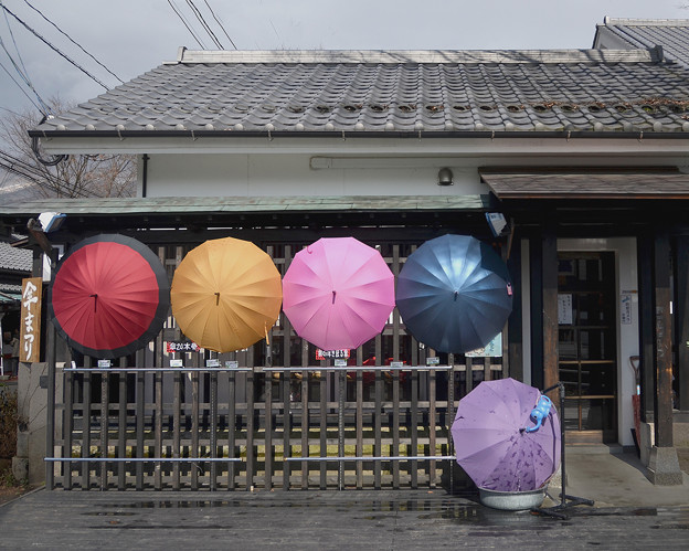 写真: 傘まつり