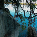 写真: 川岸の摩崖仏の先
