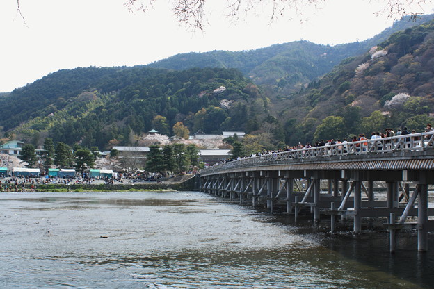 写真: 嵐山・渡月橋