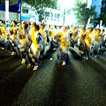 写真: 黄い平家踊り