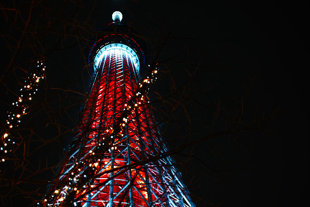 写真: Tokyo Skytree