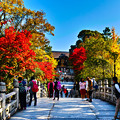 写真: 京都　大谷本廟