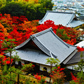 写真: 京都　洛北の秋