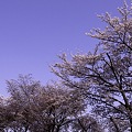2011-04-11の空