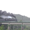 写真: 黒煙を吐き高架橋を渡るSL~