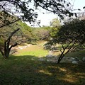 写真: 岩本山公園 から池