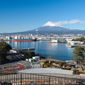 田子の浦みなと公園から眺める富士山