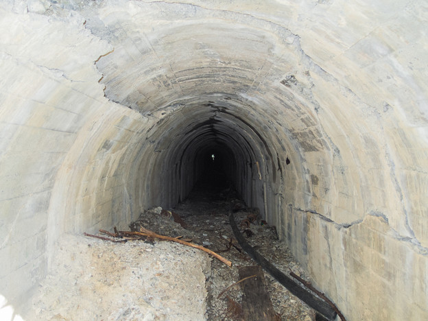 写真: 夢の吊橋先の廃トンネル
