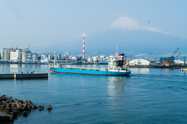 写真: 田子の浦港に停泊する船