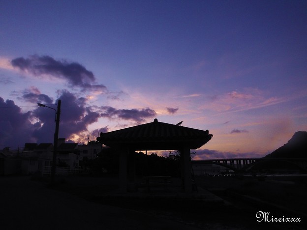 夏の慶良間諸島2012