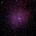 写真: NGC2264