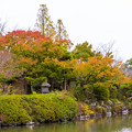 Photos: 神野公園の紅葉