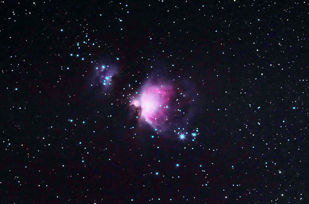 写真: M42　オリオン座大星雲