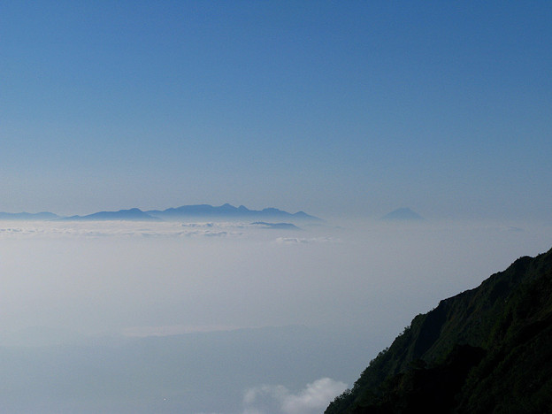 写真: 雲海と富士