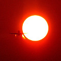 写真: 太陽フライト（３）