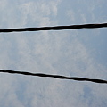 写真: ２本の電線