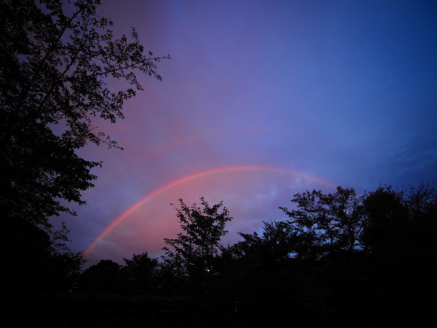 写真: Rainbow