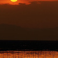 写真: 有明海の夕陽
