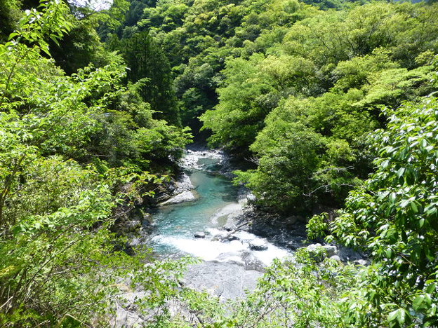 高知県道４９号沿い　澄んだ水の川
