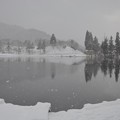 写真: 雪の鶴ヶ池