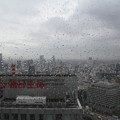 写真: 窓からの景色（4月30日から5月1日のインターバル撮影）8 5月1日