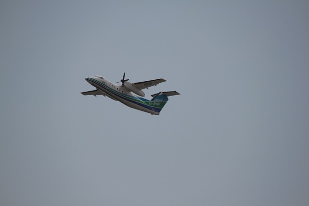 写真: 177 5月2日 長崎県 長崎空港 展望デッキ オリエンタルエアブリッジ DHC-8 JA801B