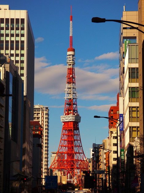 ビルの谷間の東京タワー