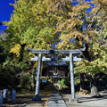 写真: 八幡神社（杉戸町）３