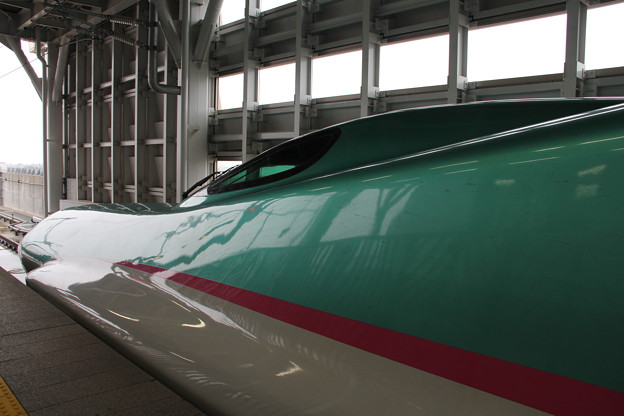 写真: 東北新幹線 Ｅ５系