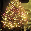 早くも銀座ミキモトにクリスマスツリーが。 #tokyo