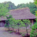 Photos: 芝棟・屋根に花のある風景 1999/8/20 岩手県立博物館
