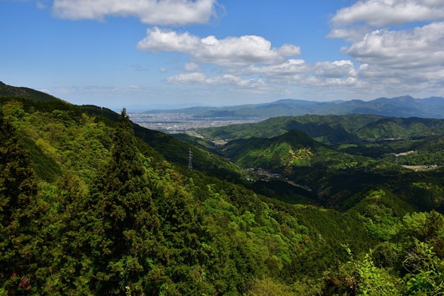 写真: 新緑の三坂峠