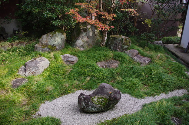 写真: 福寿院庭園