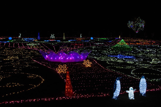 昭和記念公園Winter Vista Illumination