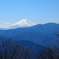 写真: 富士山＆三頭山