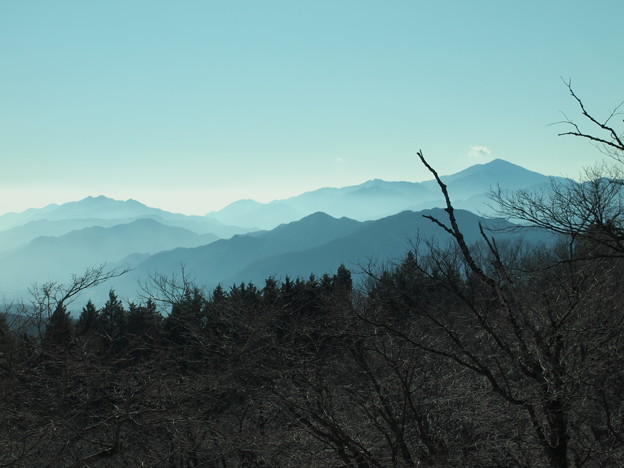 写真: 丹沢の山々