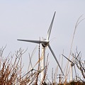 写真: 高原の風車