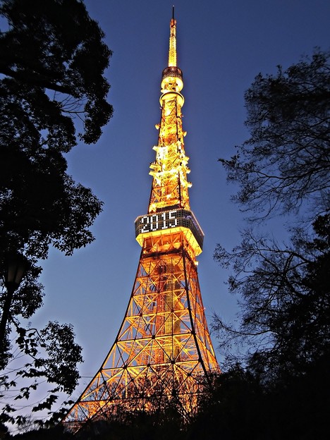 写真: 元旦東京タワー(2)