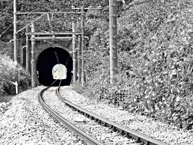 写真: 隧道