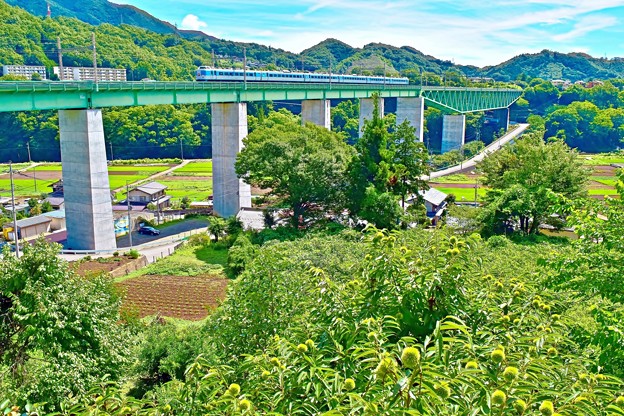 写真: 天空への架け橋(1)