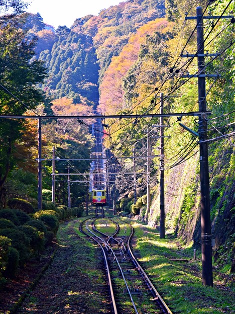 写真: 高尾山の秋景色(4)