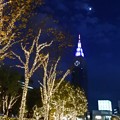 写真: 月夜の摩天楼