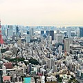 写真: Tokyo City view(2)