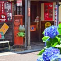 写真: 昭和のアジサイ横丁