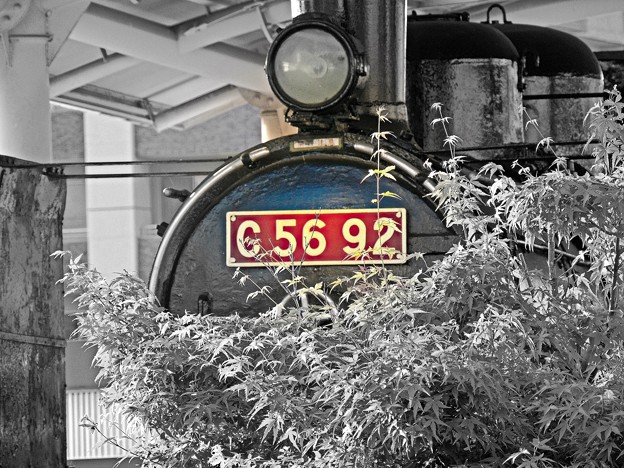 Red number C5692