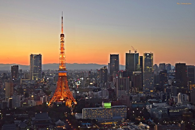 黄昏東京タワー