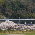 写真: 189系M52編成「山梨富士」＠藤野〜上野原