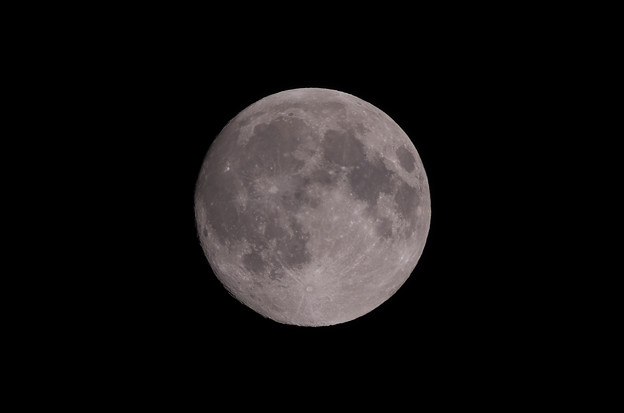 写真: 明日は皆既月食(K-5＋BORG 77ED?)