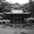 写真: 白山神社(モノクロフィルム)