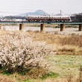 写真: 春の香東川を行く500+120